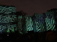 fet-lumi_dec_22_(115)
