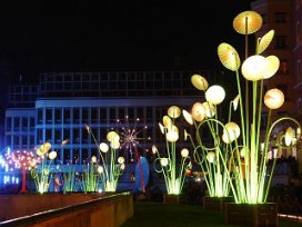 Fête des Lumières 2009