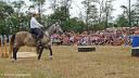 Spectacle Equestre