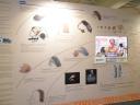 deaflympics_159.JPG
