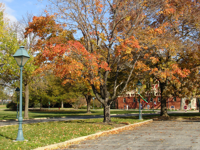 gal_univ_142.JPG