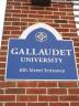 gal univ 101