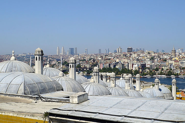 mosq_soliman_115.JPG