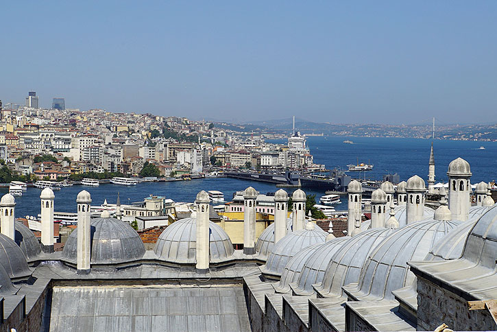 mosq_soliman_117.JPG