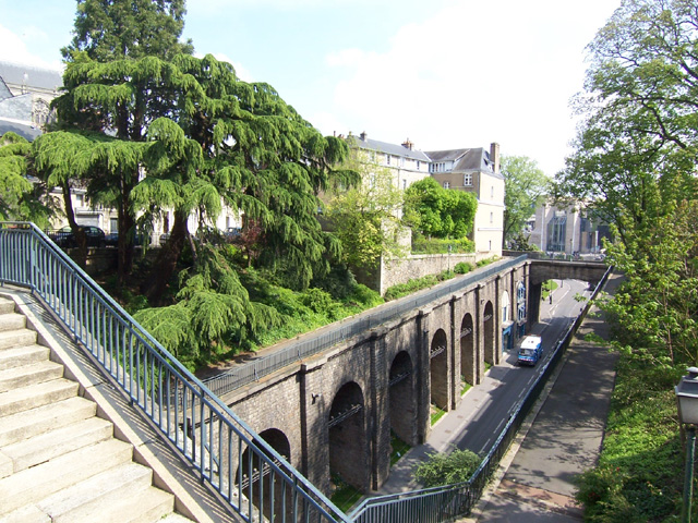 cite_plant_138.jpg