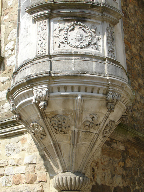 cite_plant_154.JPG