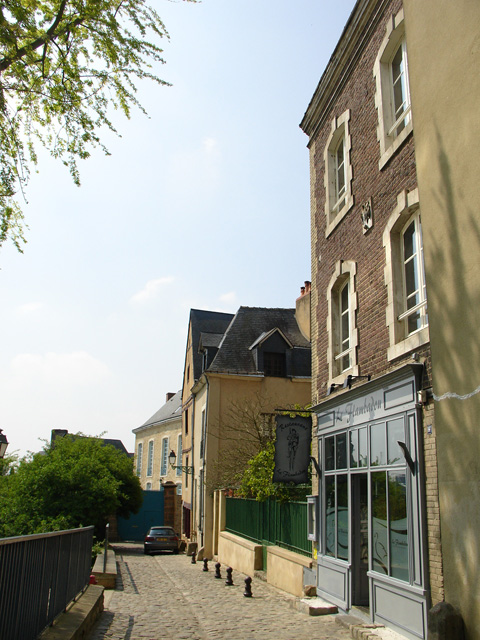 cite_plant_179.JPG