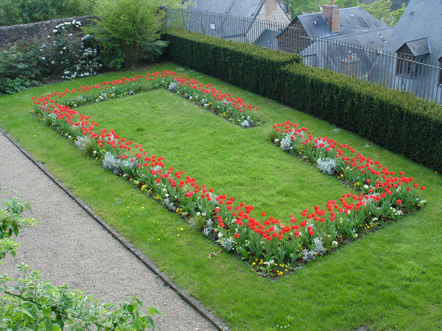 cite_plant_183.JPG