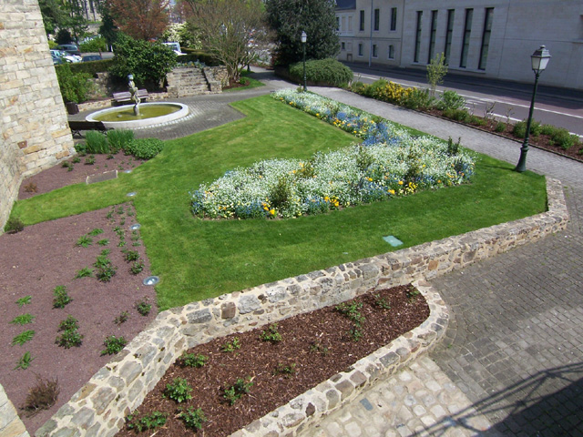 cite_plant_217.jpg