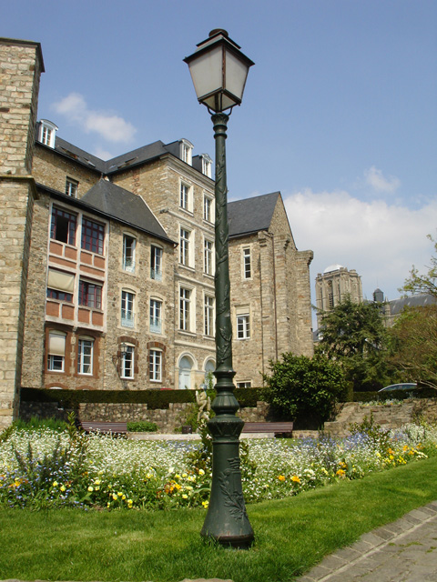 cite_plant_219.JPG