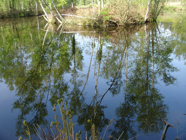 ma_eau_ferme_71.JPG