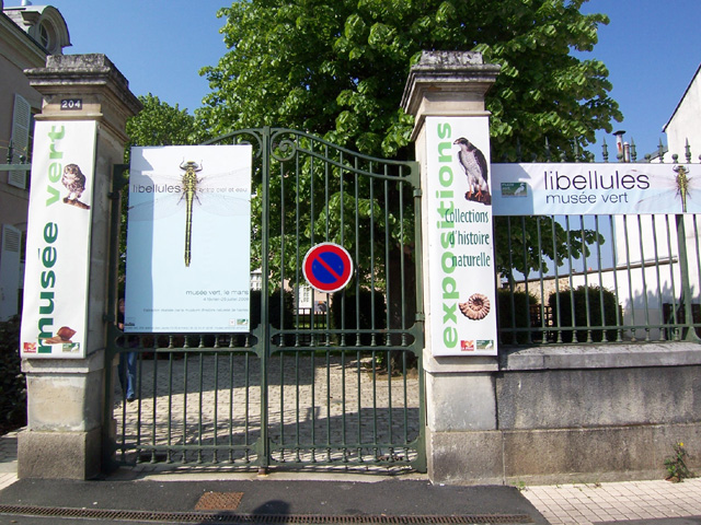 musee_vert_10.jpg