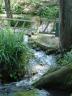jard_plant_129.JPG