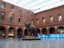 Museum d'Histoire Naturelle